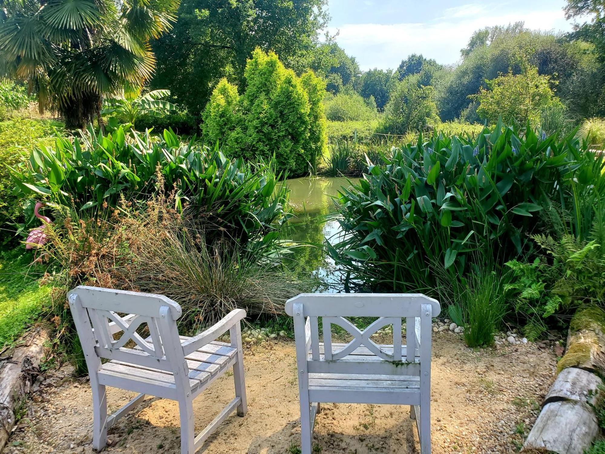 Le Vieux Moulin Gites - Detached Cottage With Garden Views And Pool Guégon Buitenkant foto